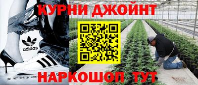 соль ск Брянск